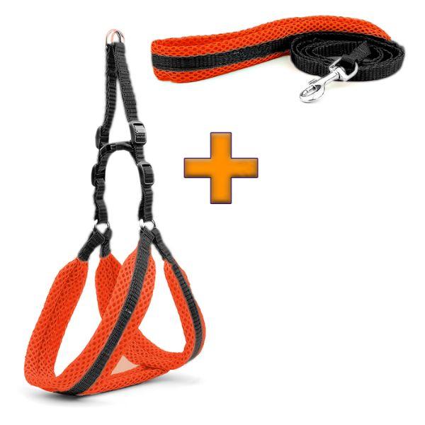 Pechera Acolchada para Perro con Correa Ajustable - Arnés Ergonómico Color Dúo Pro 2026 - Conecta Chava Shop