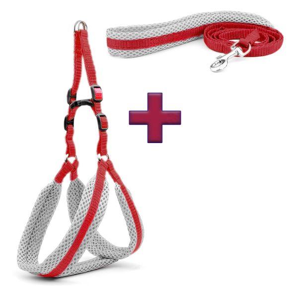 Pechera Acolchada para Perro con Correa Ajustable - Arnés Ergonómico Color Dúo Pro 2026 - Conecta Chava Shop