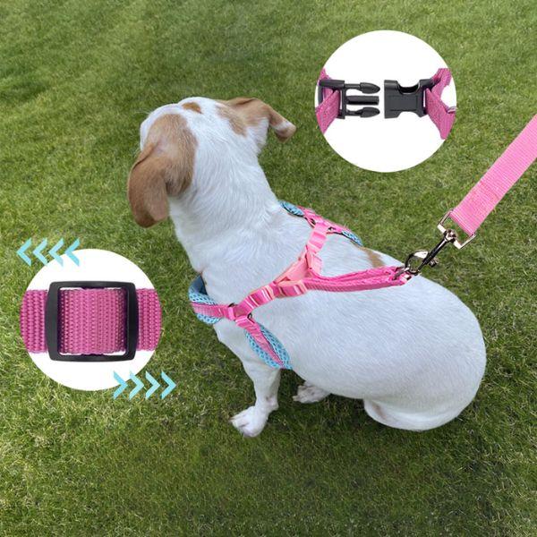 Pechera Acolchada para Perro con Correa Ajustable - Arnés Ergonómico Color Dúo Pro 2026 - Conecta Chava Shop