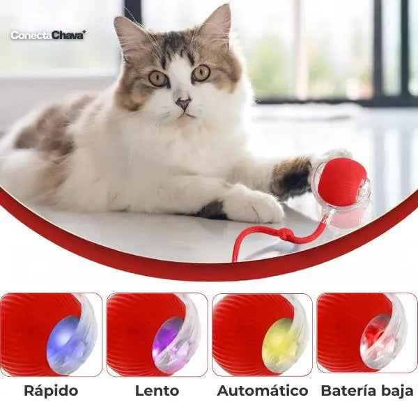 Pelota Interactiva para Mascotas Automática y Recargable USB - Juguete Inteligente con Movimiento Aleatorio y Luces LED Pro 2026 - Conecta Chava Shop