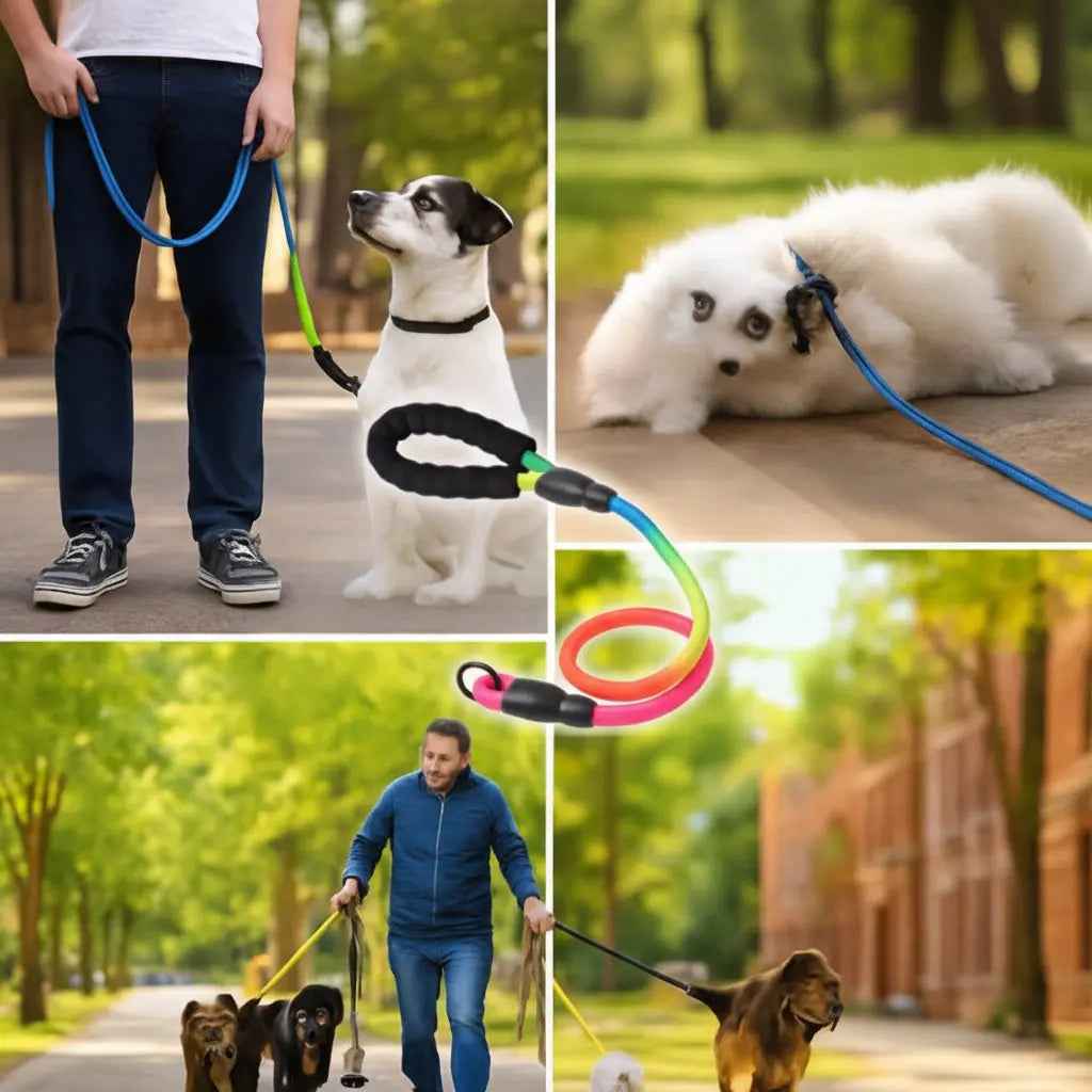 Arnés Anti Tirones para Perro Pequeño con Pechera Acolchada - Chaleco Ajustable de Seguridad con Reflectante Pro 2026 - Conecta Chava Shop