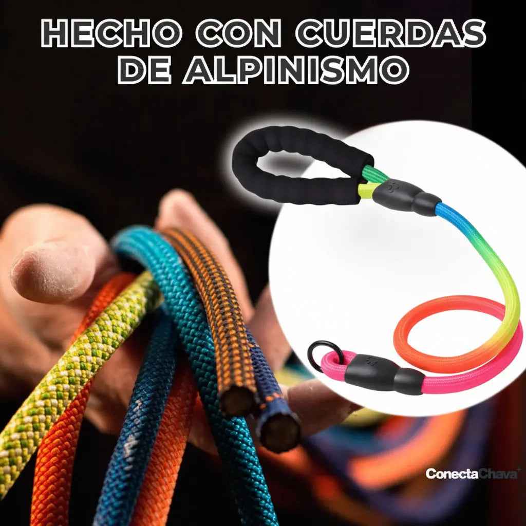 Arnés Anti Tirones para Perro Pequeño con Pechera Acolchada - Chaleco Ajustable de Seguridad con Reflectante Pro 2026 - Conecta Chava Shop