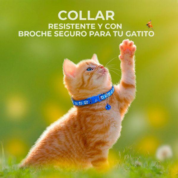 Collar Reflejante de Seguridad para Gatos y Perros con Hebilla Anti Ahorcamiento 2 Collares - Conecta Chava Shop