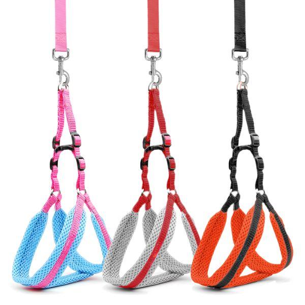 Pechera Acolchada para Perro con Correa Ajustable - Arnés Ergonómico Color Dúo Pro 2026 - Conecta Chava Shop