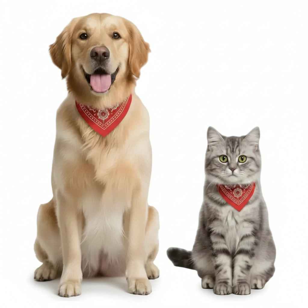Collar para Perro Ajustable con Bandana Resistente al Agua - Accesorio de Moda para Mascotas con Hebilla de Seguridad Pro 2026 - Conecta Chava Shop
