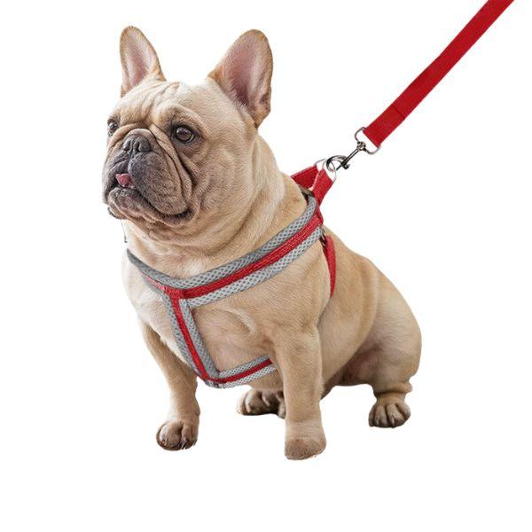 Pechera Acolchada para Perro con Correa Ajustable - Arnés Ergonómico Color Dúo Pro 2026 - Conecta Chava Shop