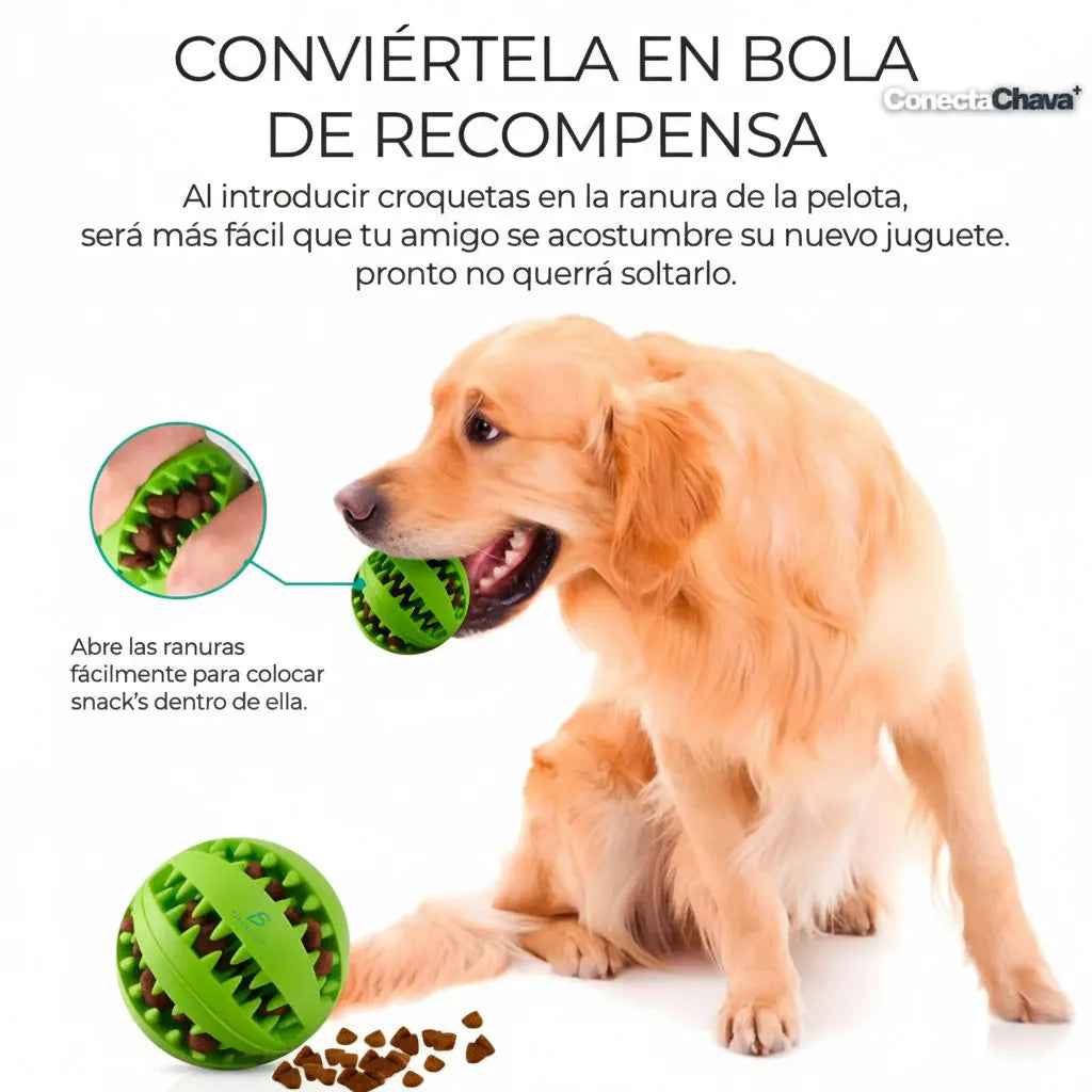 Juguete Comedero para Mascotas con Compartimento para Snacks - Dispensador de Comida Lenta y Rompecabezas Interactivo Pro 2026 - Conecta Chava Shop