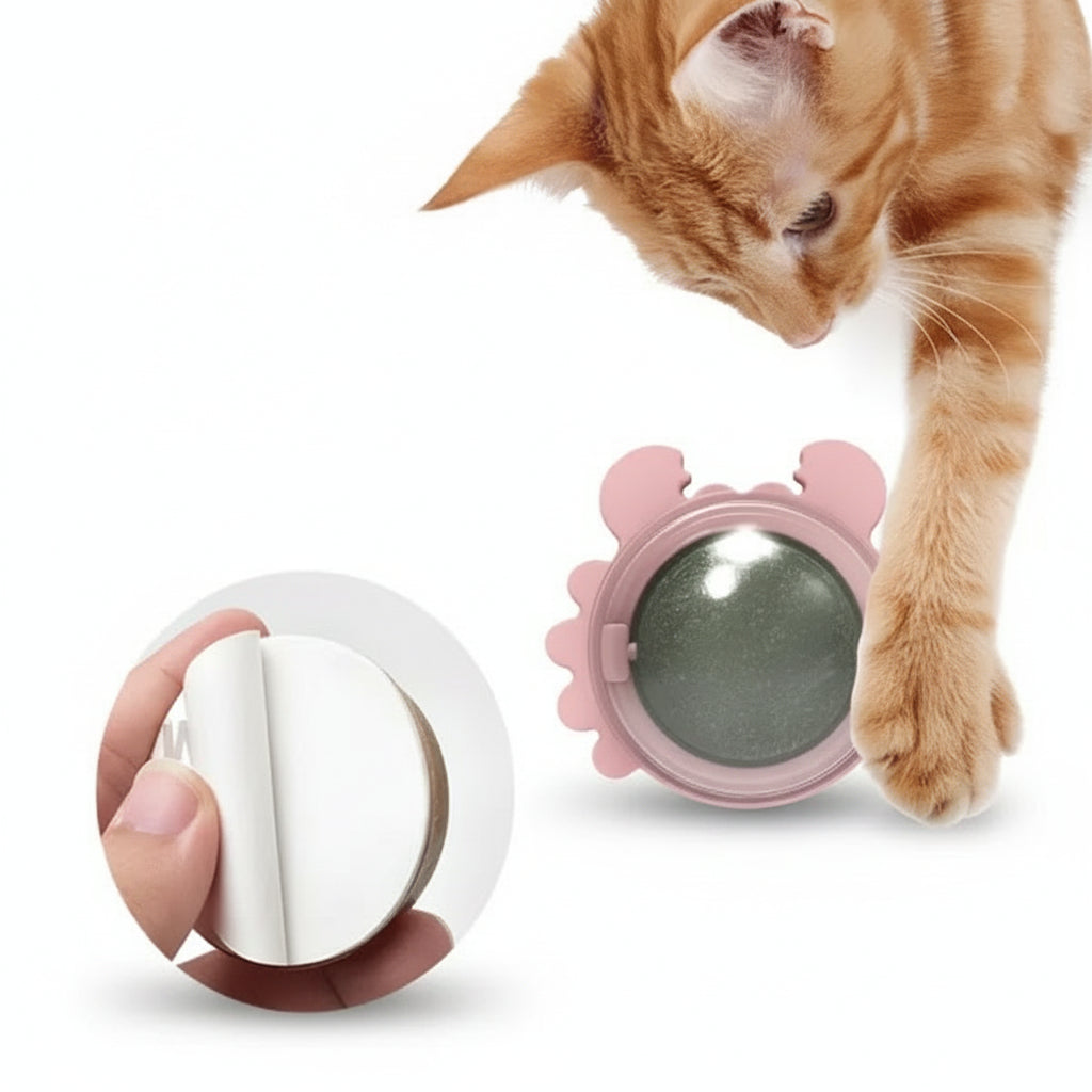 Juguete para Gatos con Catnip Bola Giratoria Natural - Hierba Gatera de Pared 3 en 1 Pro 2026 - Conecta Chava Shop