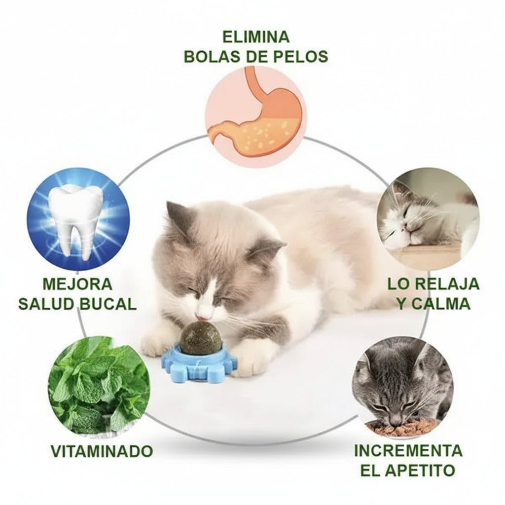 Juguete para Gatos con Catnip Bola Giratoria Natural - Hierba Gatera de Pared 3 en 1 Pro 2026 - Conecta Chava Shop