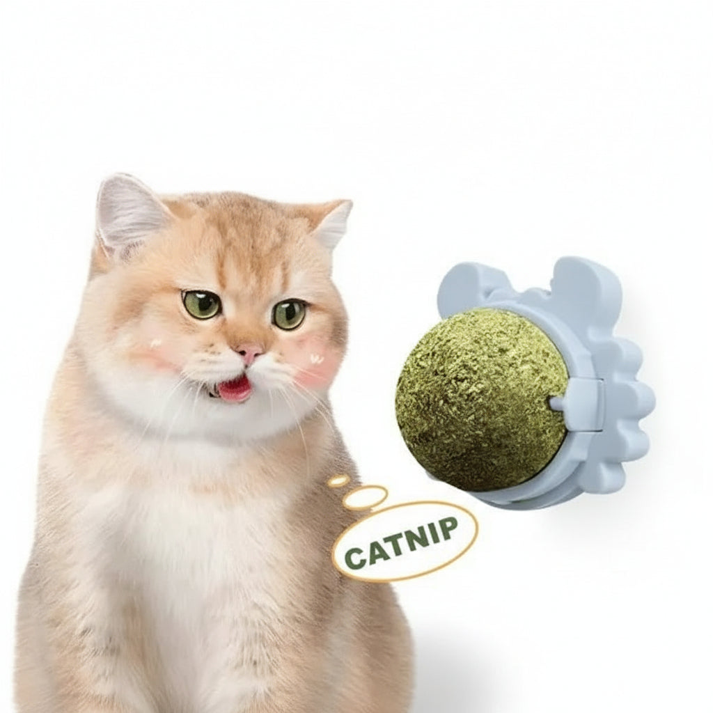 Juguete para Gatos con Catnip Bola Giratoria Natural - Hierba Gatera de Pared 3 en 1 Pro 2026 - Conecta Chava Shop